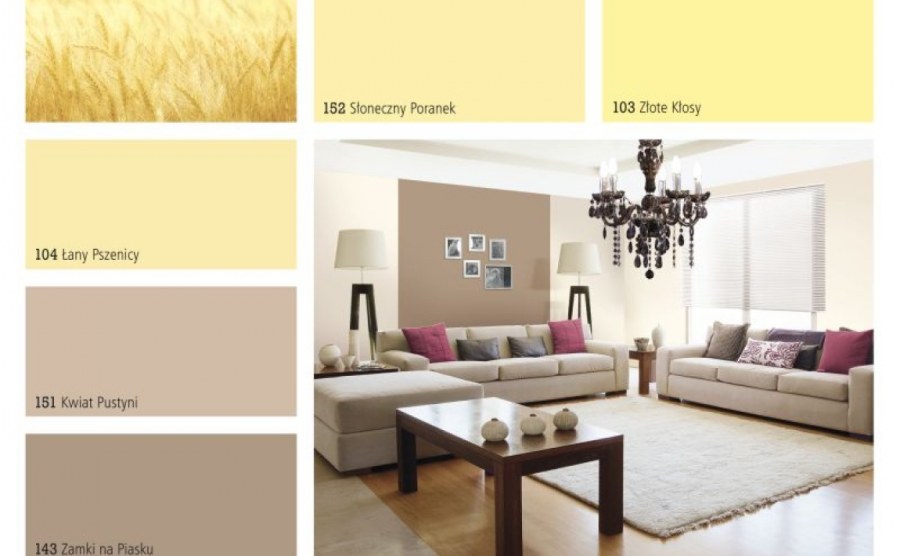 Краска для стен палитра цветов в интерьере