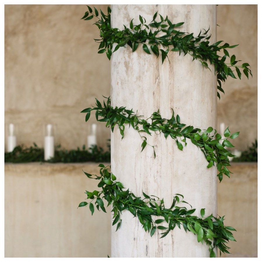 Колонна с растениями