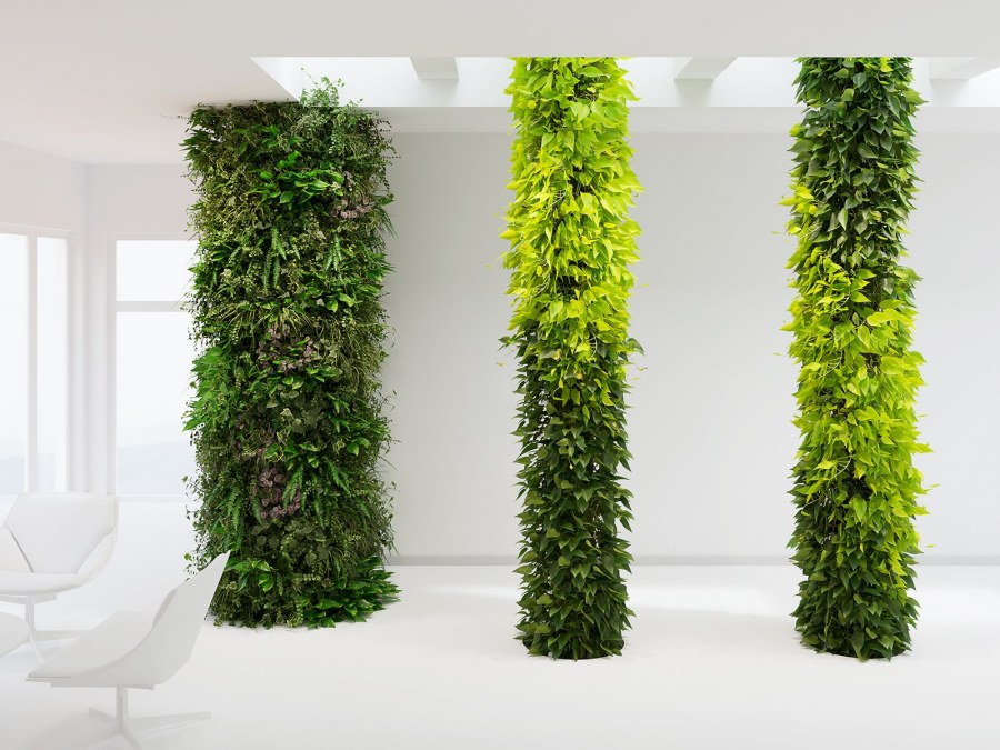 Фитостена 3ds