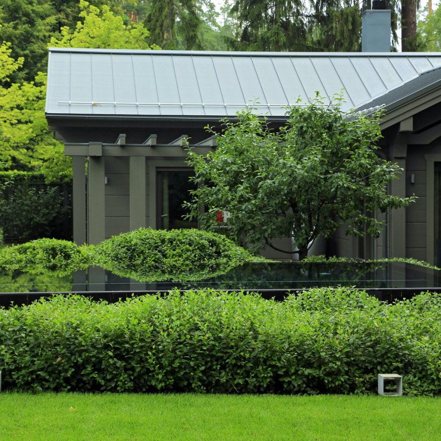 Сады Майендорф Александр Гривко