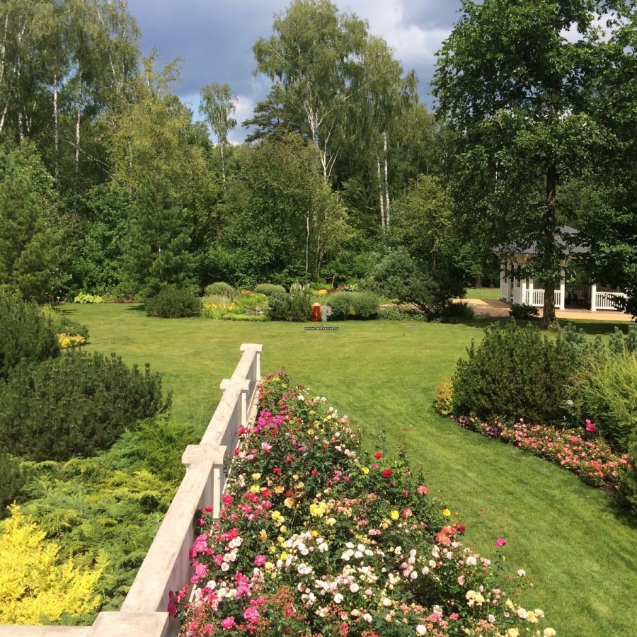 Алексей Коровин ландшафтный дизайнер