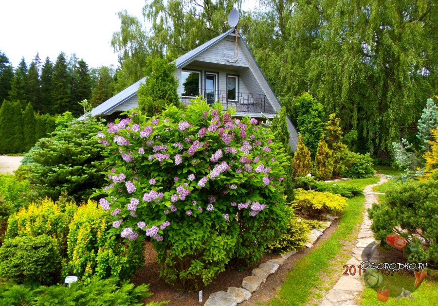 Ландшафтный дизайн в стиле русской усадьбы