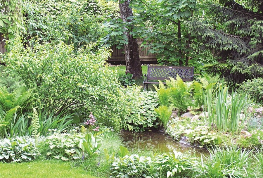 Миксбордер Сапелин