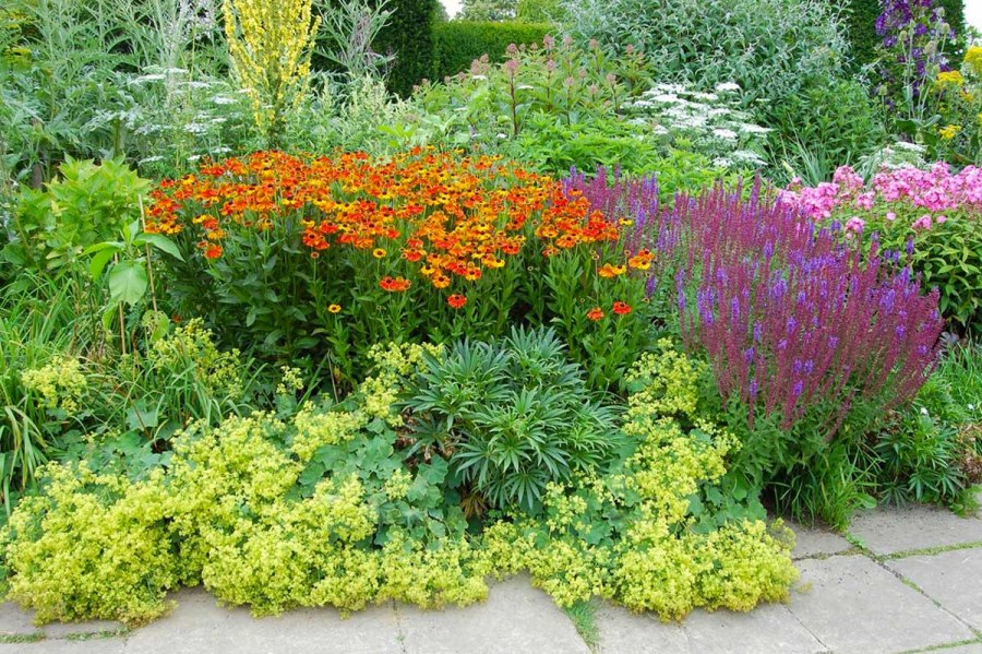 Смешанные бордюры(миксбордеры)