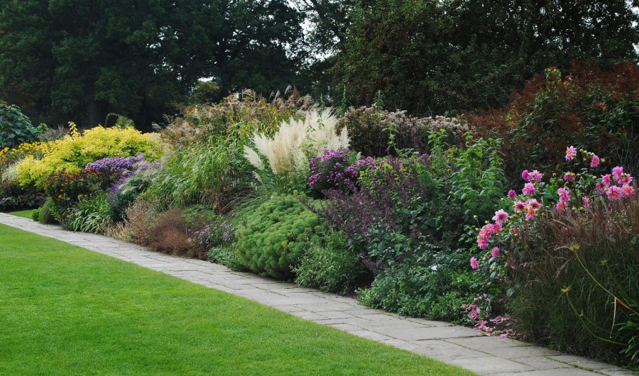 Островной миксбордер