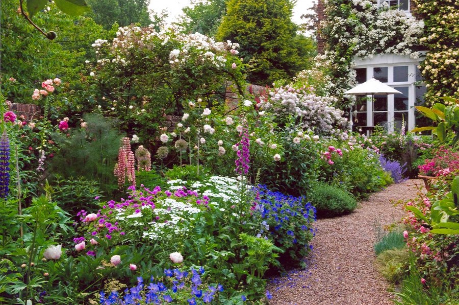 Миксбордеры бет Шато