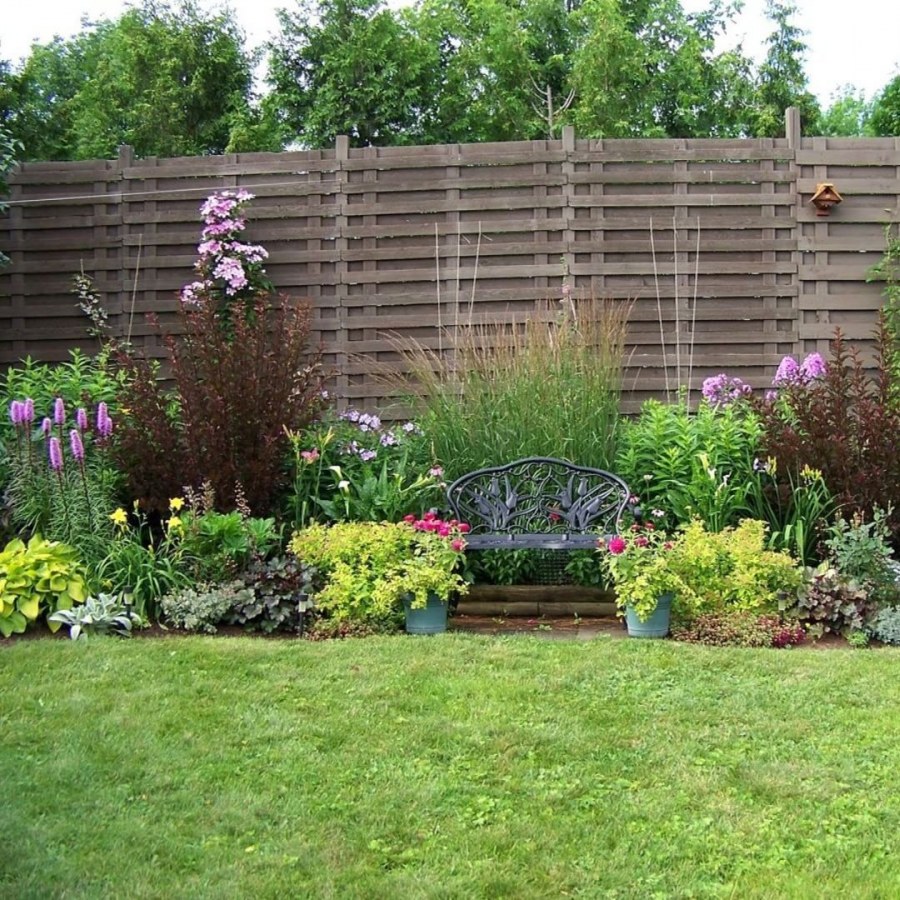 Люпин в миксбордере