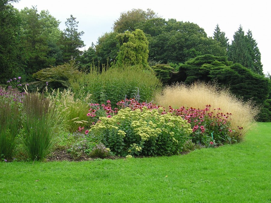 Огородный миксбордер