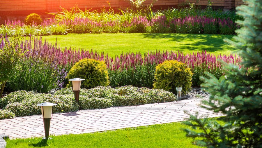 Миксбордер возле забора