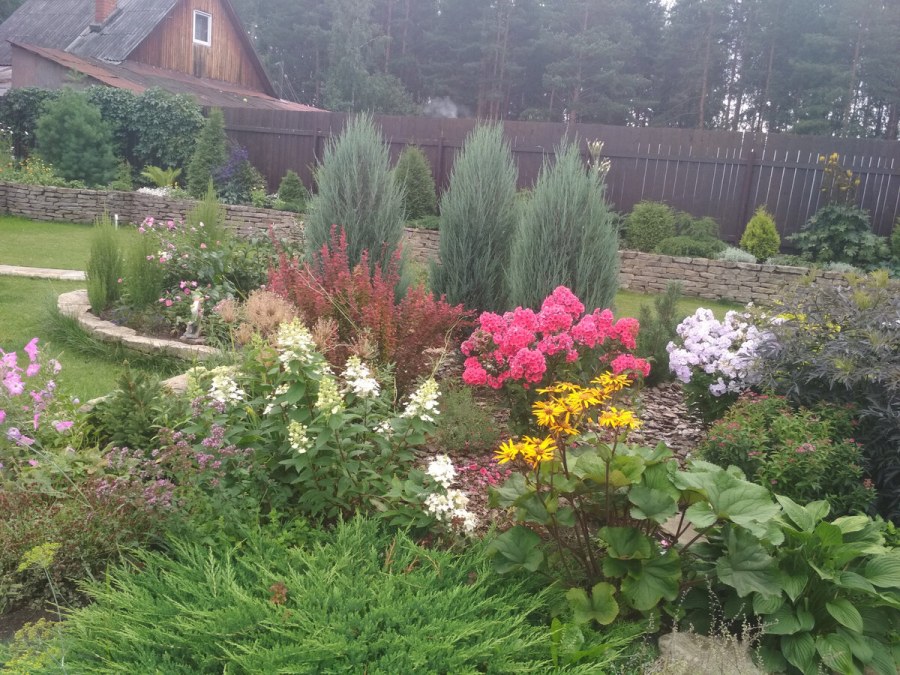 Тенистый миксбордер