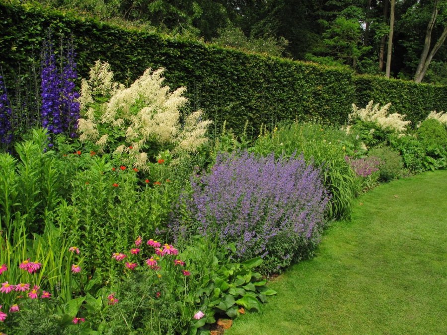 Огородный миксбордер