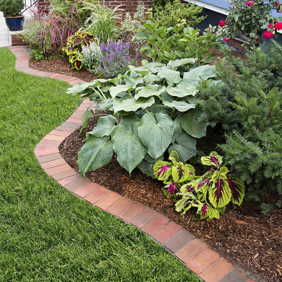 Миксбордер Кантри сад