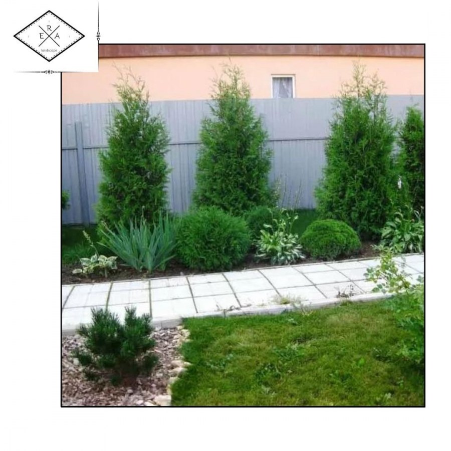 Миксбордер Балашиха