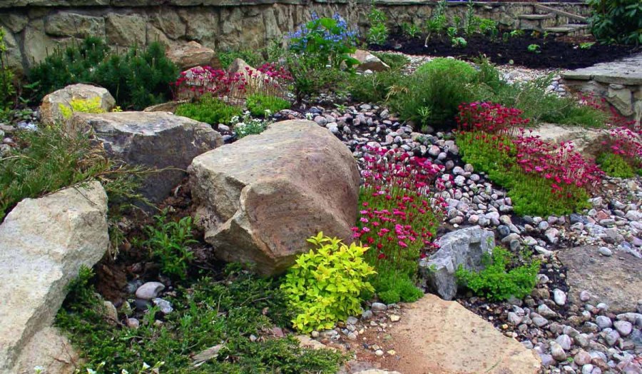 Рокарий горный ручей