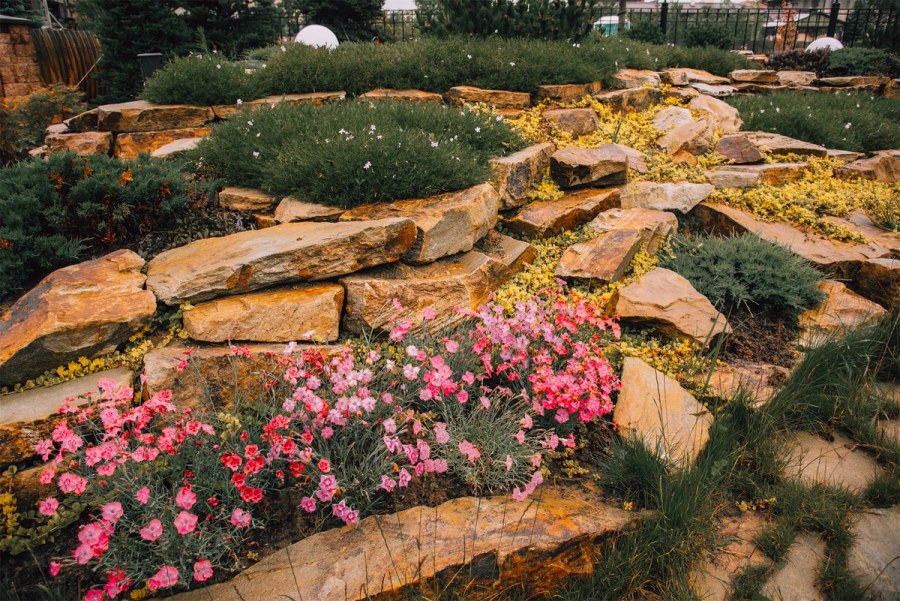 Рокарий Каменистый сад