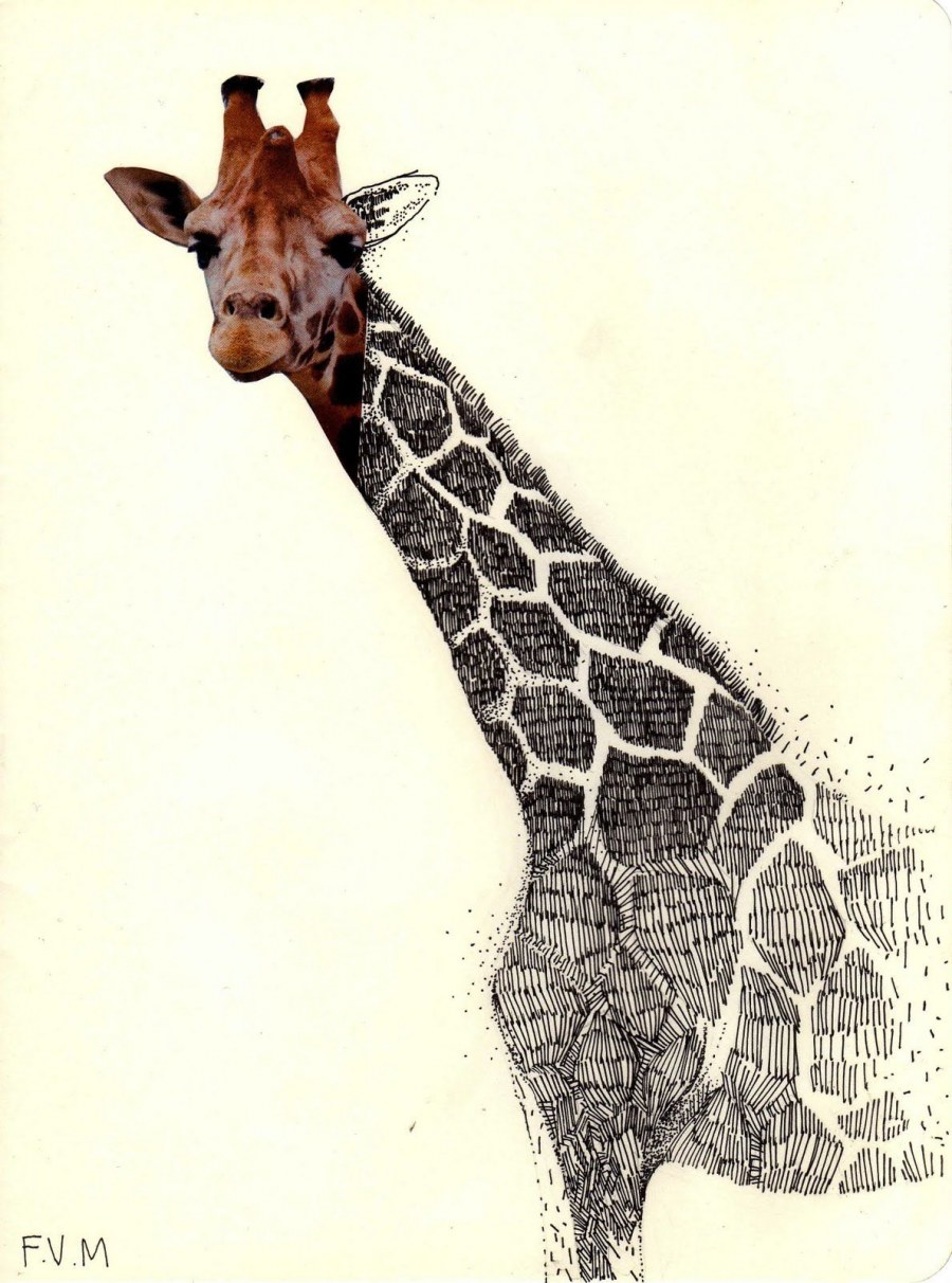 Ватагин Жираф