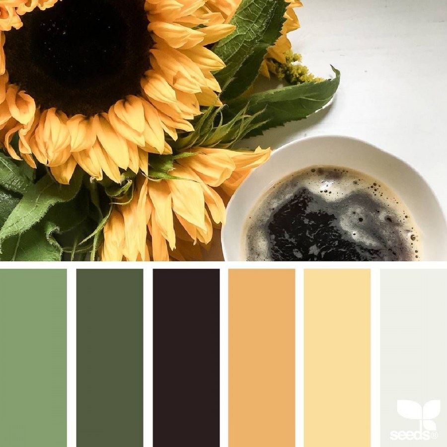 Цветовые сочетания Сеедс