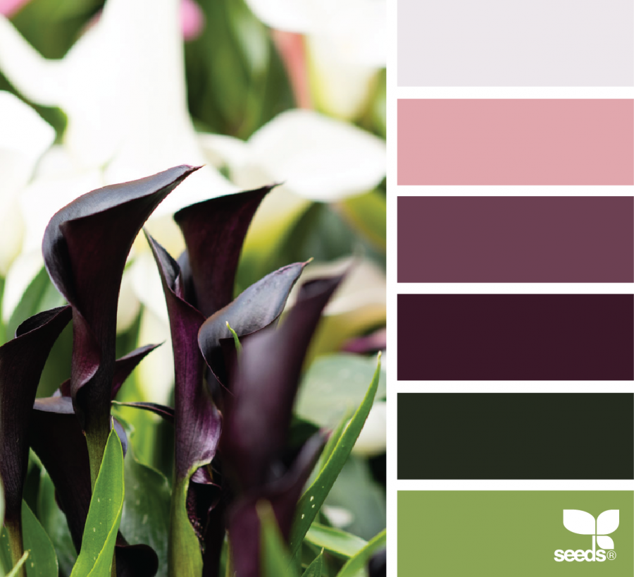 Сочетание цветов с бордовым