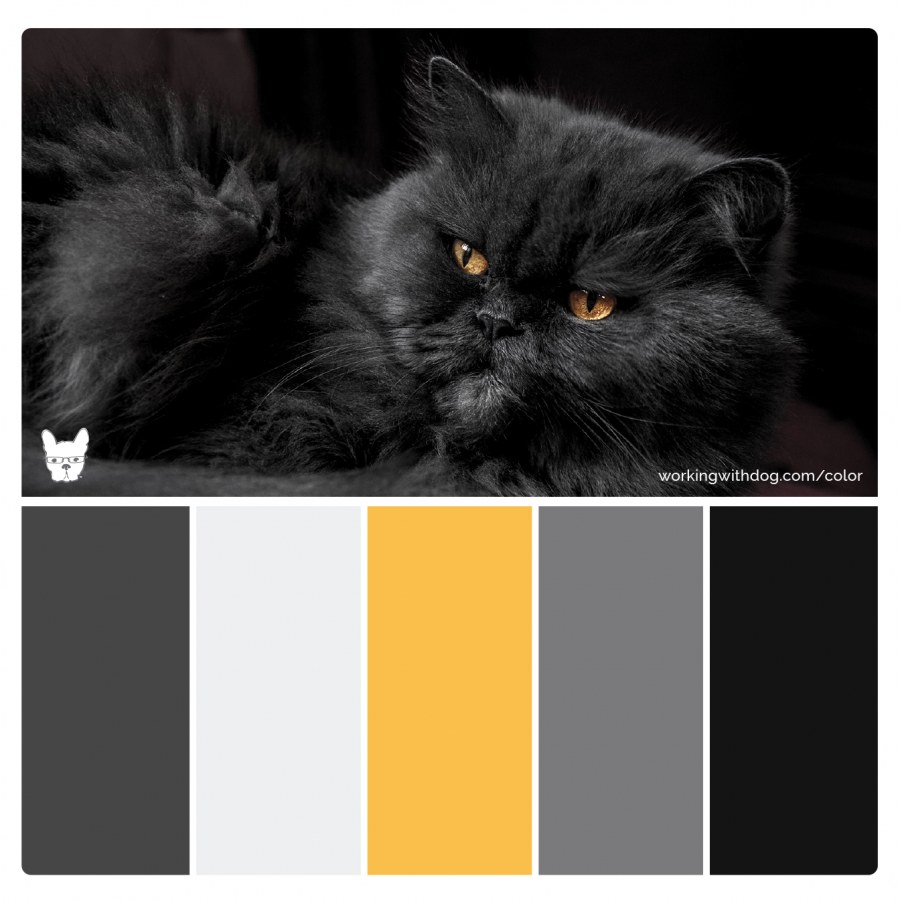 Палитра темных оттенков