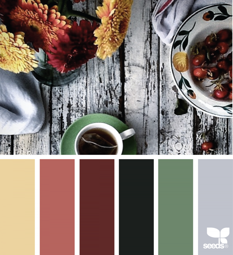 Сочетание цветов с коричневым