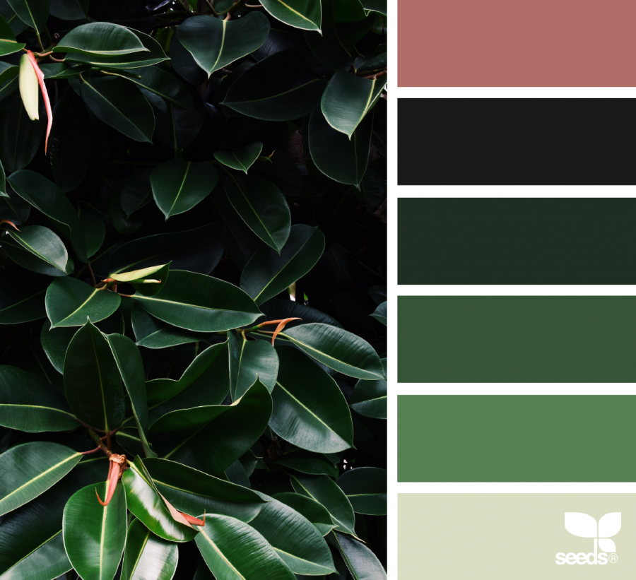 Изумрудный цвет палитра