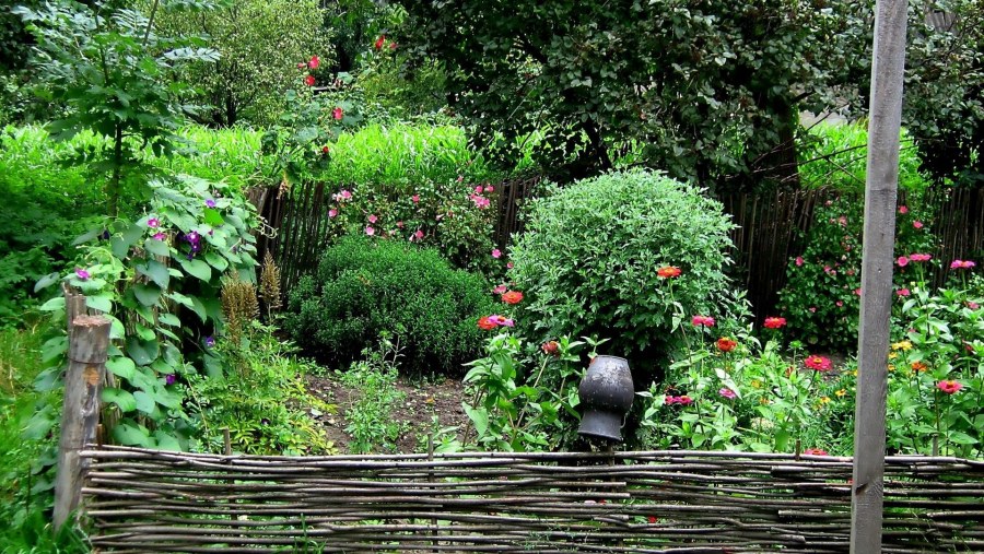 Украшаем дачный участок