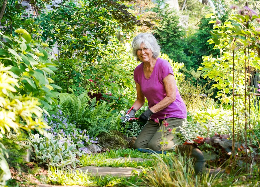 Сад на даче