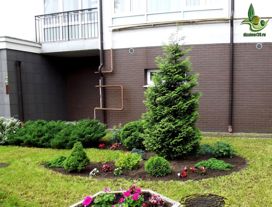 Ландшафтный дизайн школы