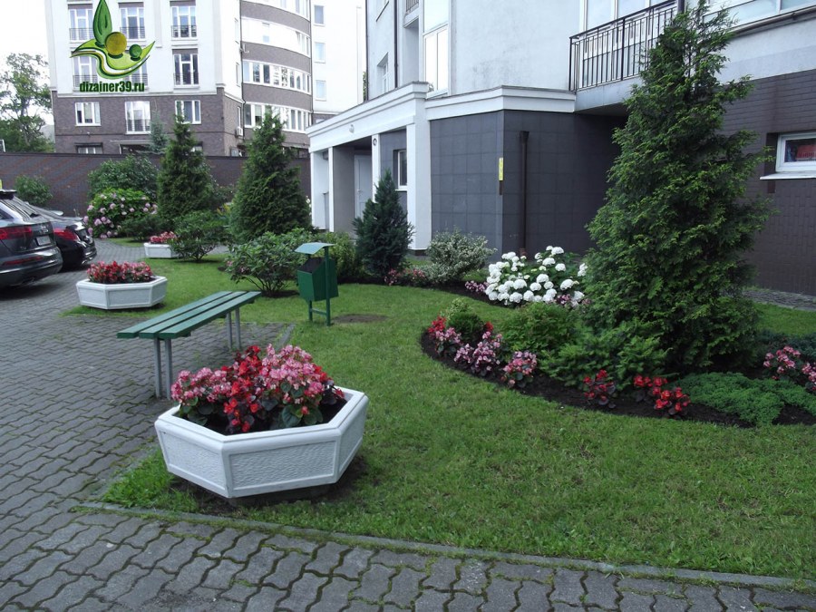 Озеленение придомовой территории