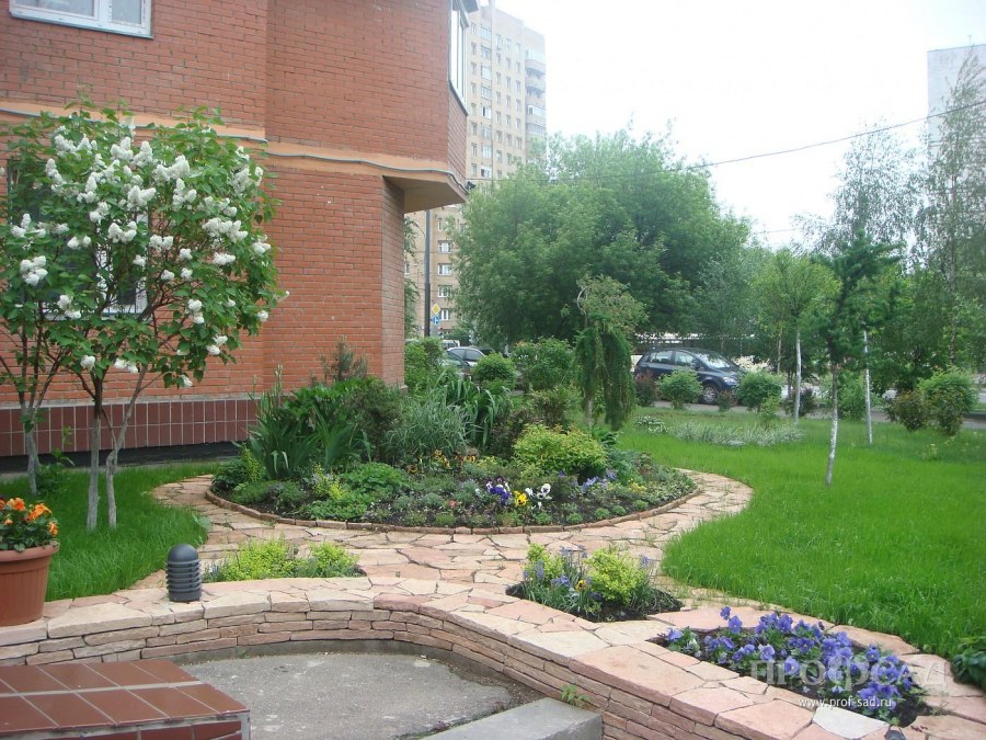 Озеленение двора