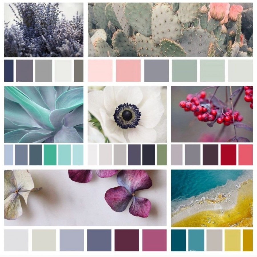 Сочетание цветов