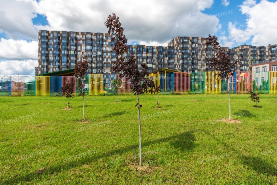 Школа ЖК Весна Апрелевка