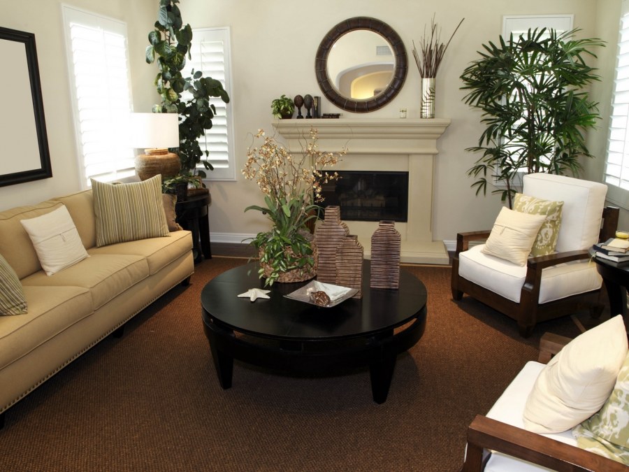 Комнатные цветы в интерьере гостиной