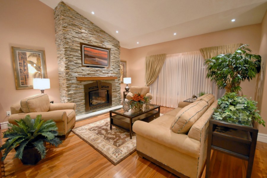 Комнатные цветы в интерьере гостиной