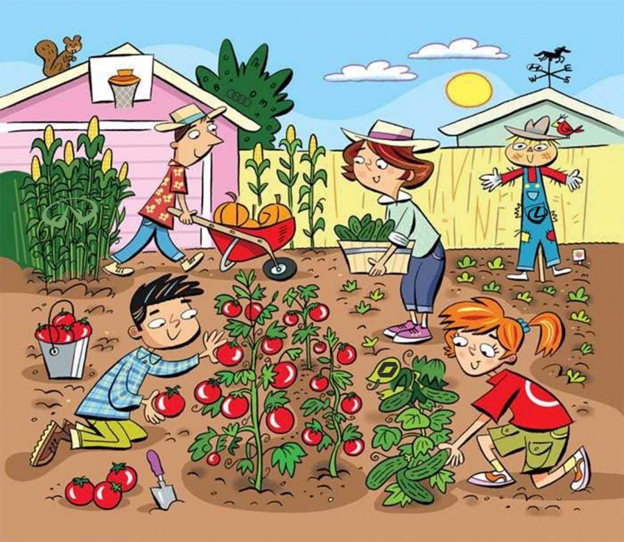 Сюжетная картина сад огород
