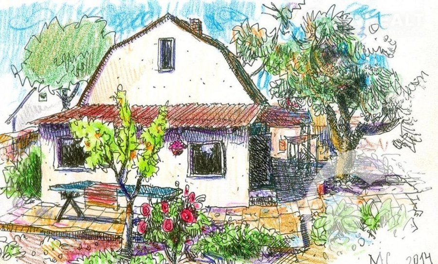 Дачные зарисовки