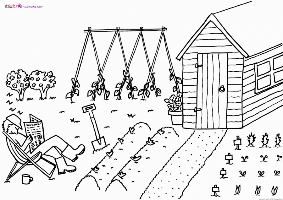 Огород раскраска для детей