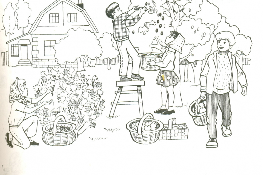 Раскраска. В огороде