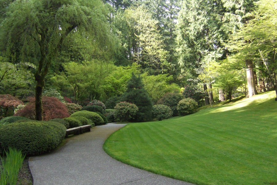 Геопластика газона