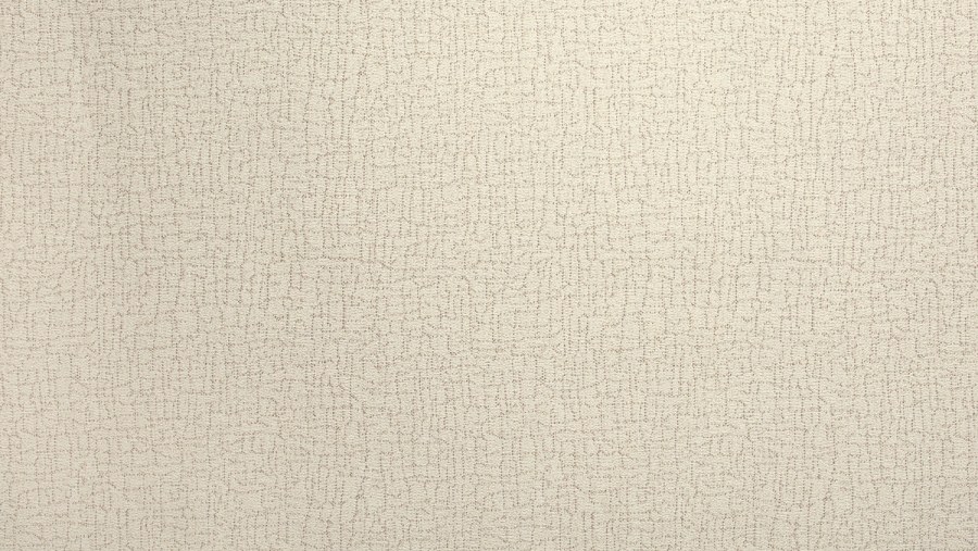 Обои без рисунка для стен