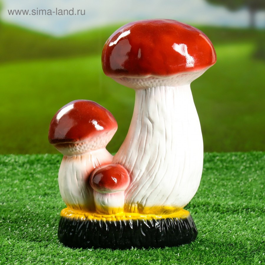Декоративные грибы