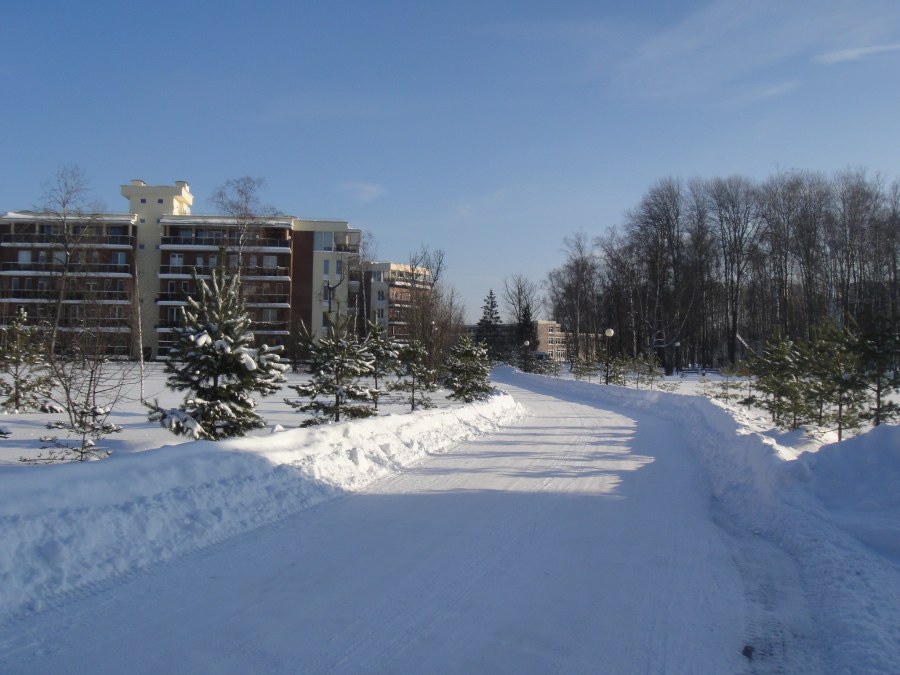 Витро Вилладж кленово