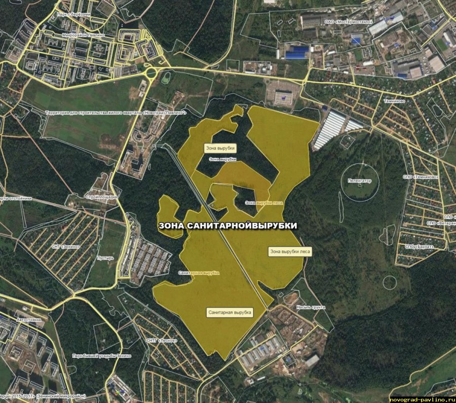 ЖК Новоград Павлино генплан