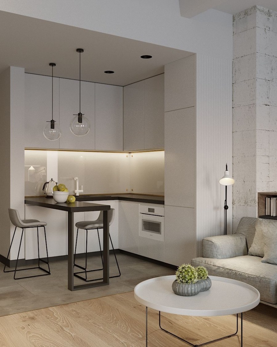 Кухня-гостиная 20 кв.м евродвушка