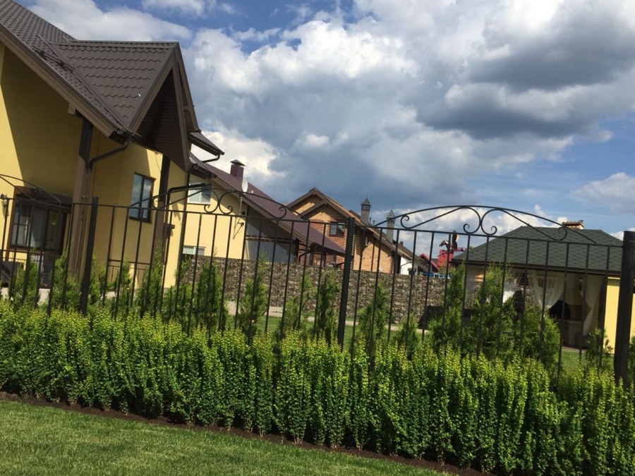 КП оранж клаб