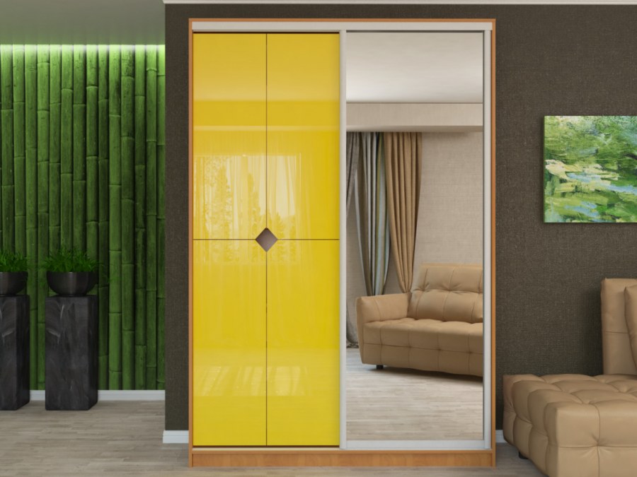 Шкаф купе Вера монорельс