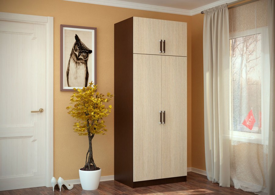 Шкаф 2-х СТВ.С перегородкой БТС