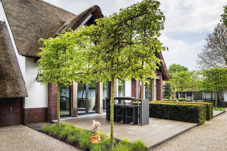 Проекты домов с озеленением