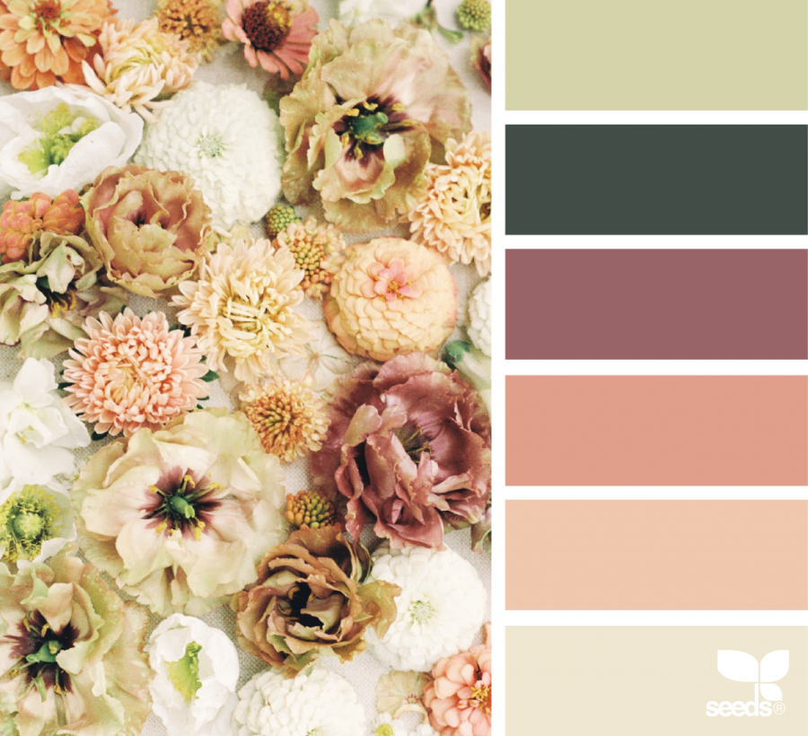 Подборка цветовой гаммы