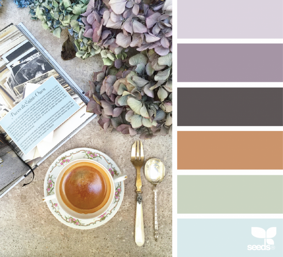 Лучшие книжные сочетания цветов